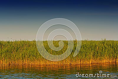 Boddenlandschaft on Fischland Stock Photo