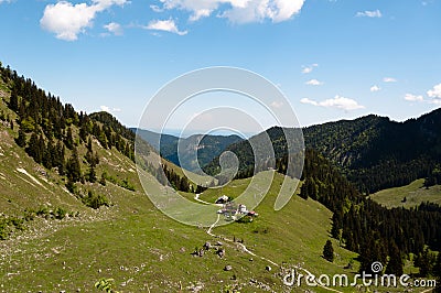 Bodenschneid Pasture, near Schliersee, Bavaria Stock Photo