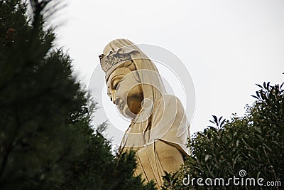 Bodhisattva Stock Photo