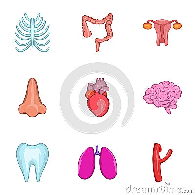 Bodies icons set, cartoon style Cartoon Illustration