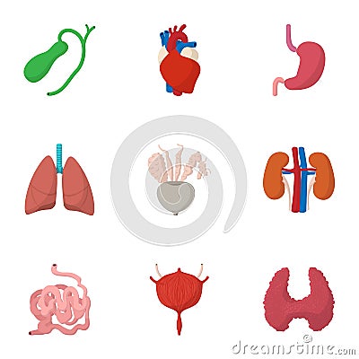 Bodies icons set, cartoon style Vector Illustration