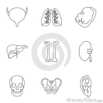 Bodies icons set, outline style Vector Illustration