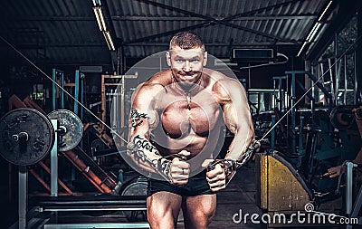 Body Builder Working Stock Photo