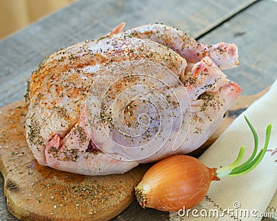 The body of the chicken with spices Stock Photo