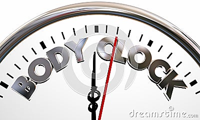 Body Clock Health Wellness Life Longevity Words Stock Photo