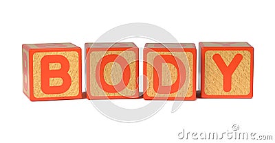 Body on Colored Wooden Childrens Alphabet Block. Stock Photo