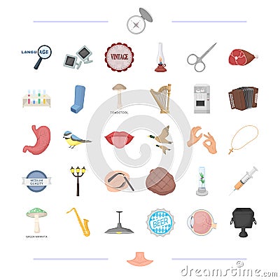 Body, food, tool and other web icon in cartoon style.man, medicine icons in set collection. Vector Illustration