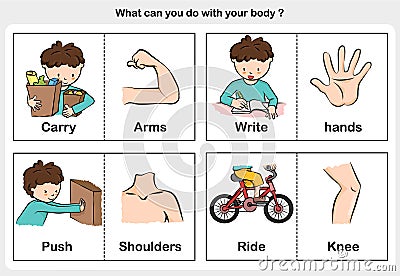 Body function carry, write, push, ride - part of body concept Vector Illustration