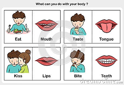 Body function eat, taste, kiss, bite - part of body concept Vector Illustration