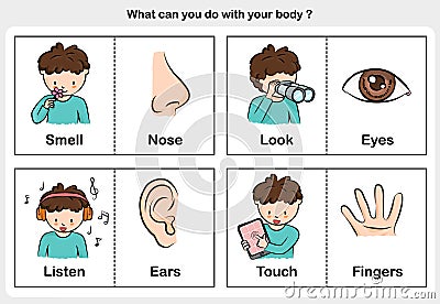 Body function smell, look, listen and touch - part of body concept Vector Illustration