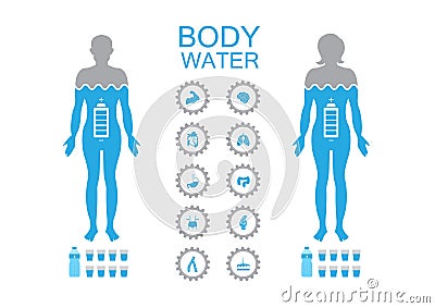 Body health infographic illustration drink water icon dehydration symptoms Vector Illustration