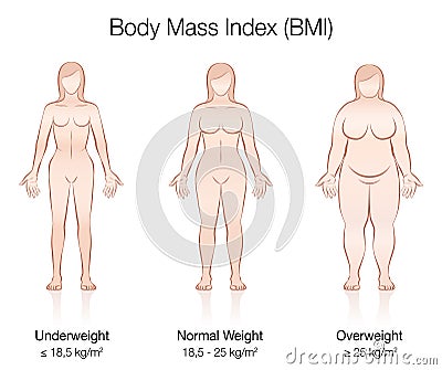 Body Mass Index BMI Female Body Thin Fat Normal Vector Illustration