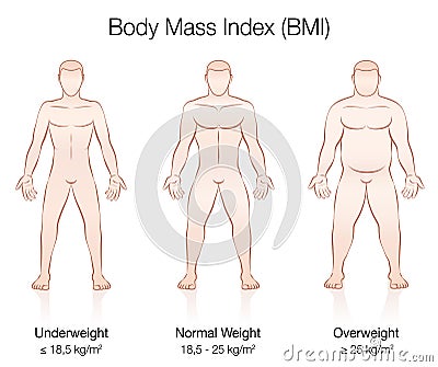 Body Mass Index BMI Male Body Thin Fat Normal Vector Illustration