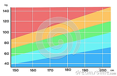 Body Mass Index chart . height and weight / fat Vector Illustration