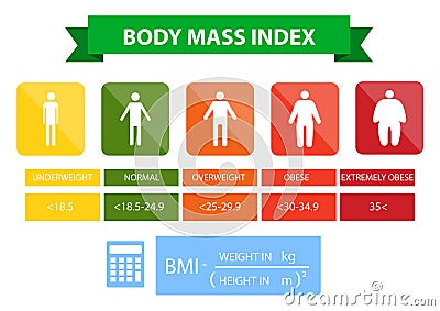 Body mass index illustration from underweight to extremely obese. Vector Illustration