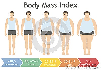 Body mass index vector illustration from underweight to extremely obese in flat style. Man with different obesity degrees Vector Illustration