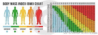 Body Masse index chart, vector illustration Vector Illustration