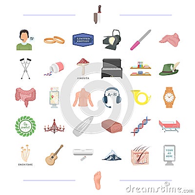 Body, medicine, organ and other web icon in cartoon style. equipment, tool, food icons in set collection. Vector Illustration