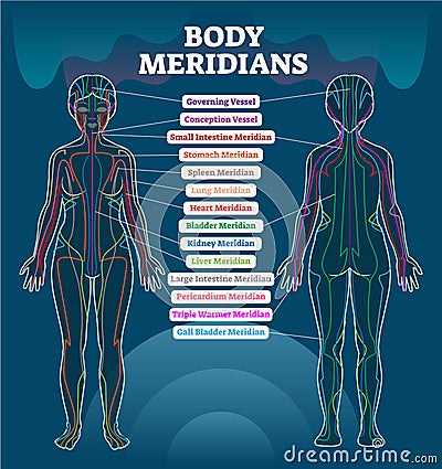 Body meridian system vector illustration scheme, Chinese energy acupuncture therapy diagram chart. Vector Illustration