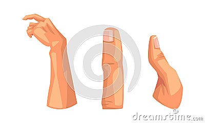 Body Parts with Arm, Finger and Thumb Vector Set Vector Illustration