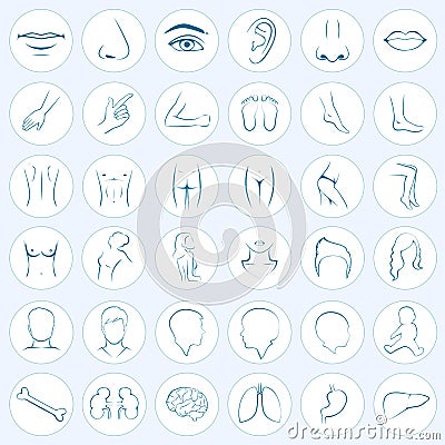 Body parts, five senses Vector Illustration