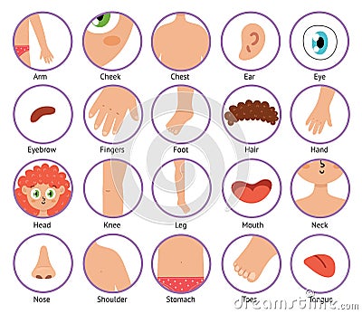 Body parts icons in cartoon style. Collection of the human body elements Vector Illustration