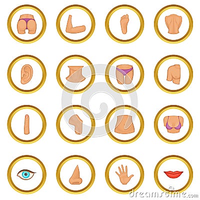 Body parts icons circle Vector Illustration