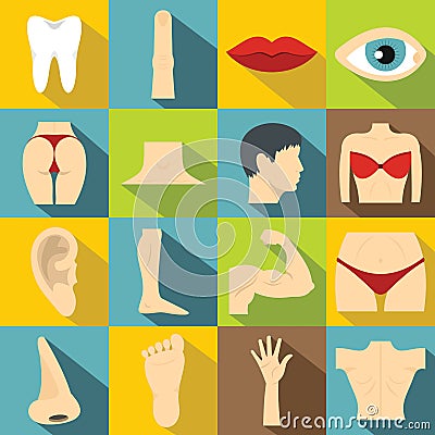 Body parts icons set, flat style Vector Illustration