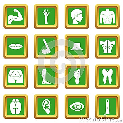 Body parts icons set green Vector Illustration