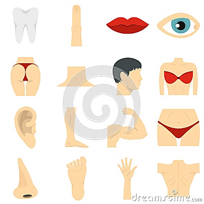 Body parts set flat icons Vector Illustration