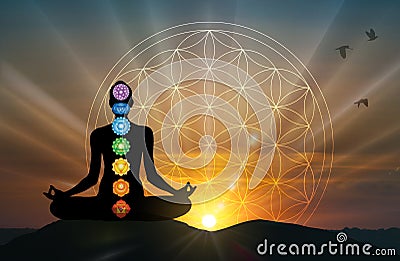 Human body yoga, meditation, chakra spiritual energy healing, flower of life Stock Photo