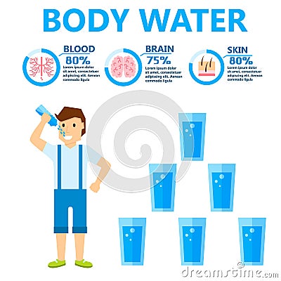 Body water drink infographics health people diet lifestyle concept brochure infochart vector illustration Vector Illustration