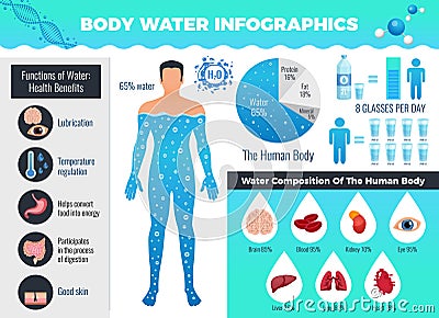 Body And Water Infographic Set Vector Illustration