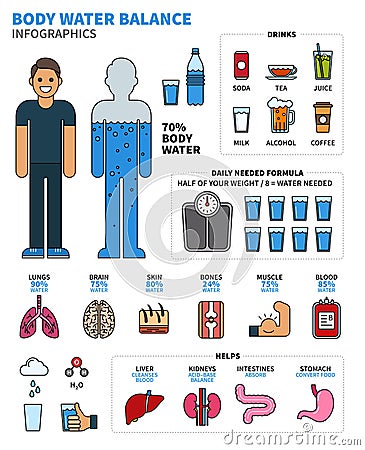 Body Water Infographics with Human Organs, Drinks and Calculatio Vector Illustration
