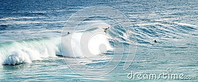 Bodyboarder Surfing Ocean Wave Editorial Stock Photo
