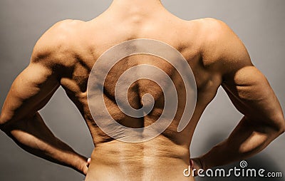 Bodybuilder's back Stock Photo