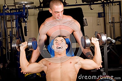 Bodybuilders training Stock Photo