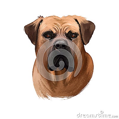 Boerboel, South African Mastiff dog digital art illustration isolated on white background. South Africa origin working farm dog, Cartoon Illustration