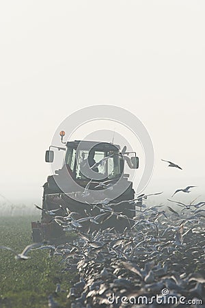 Boerenakker, Farmland Stock Photo