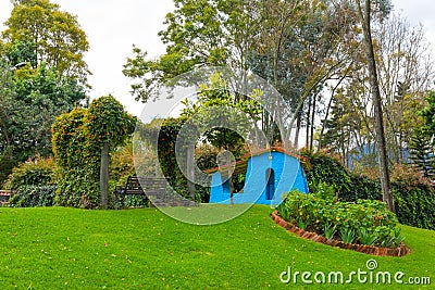 Bogota park of lovers bench under a pergola of flowers Editorial Stock Photo