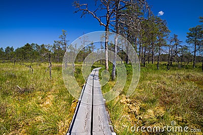 Bogs, lakes and eco trails in the Lahemaa National Park in Estonia Stock Photo