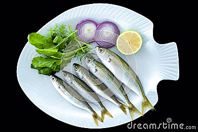 Bogue fish also known as Boops boops with rockets leaves served on white plate Stock Photo