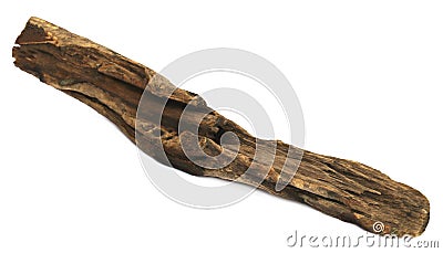Bogwood or driftwood Stock Photo