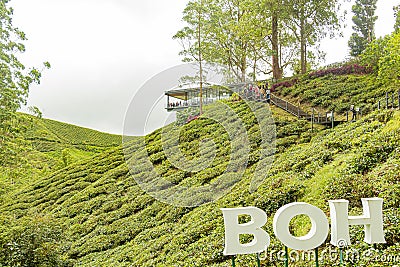 BOH Tea Centre at Sungai Palas Tea Garden tea plantation in Cameron Highland, Malaysia. Stock Photo