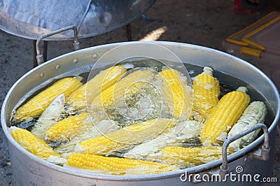 Boiled corn Stock Photo