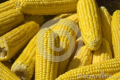 Boiled corn. Sale of freshly boiled hot corn at fair. Natural yellow background. Close-up Stock Photo