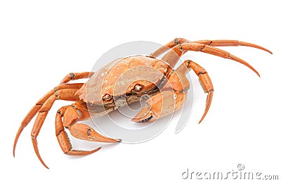 Boiled crab Stock Photo