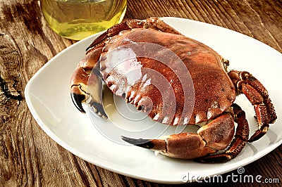 Boiled crab Stock Photo