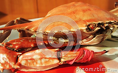 Boiled crab Stock Photo