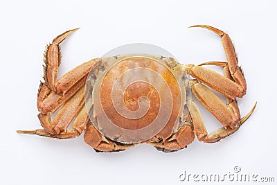 boiled crab Stock Photo